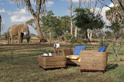 Your accommodations for the next two nights, the Ashnil Samburu Camp is located in the Buffalo Springs Reserve, separated from Samburu Reserve by the Uaso Nyiro River.