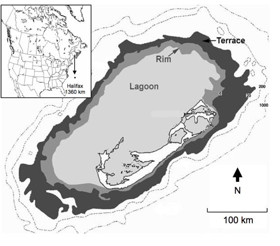 Figure 1: Map of Bermuda indicating global position and reef contour. Modified from bermudadiving.