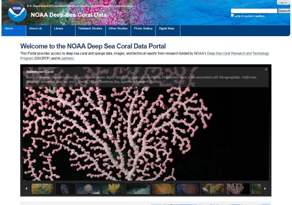 DSCRTP Data Portal DeepSeaCoralData.NOAA.