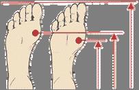 Why Heel-to-Ball Is Essential Step # 9 Test the shoe for fit and function. How do they feel while standing and walking on flat ground?