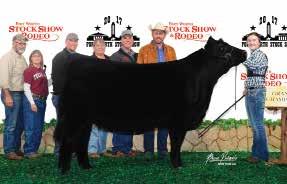 Grand Champion Heifer at the East Texas State Fair, 2017 Continental Champion Heifer at the