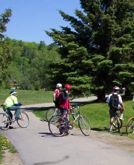 Haliburton County could become a model for other rural communities wishing to engage in integrating cycling into transportation planning Implementation A phased approach will be necessary to