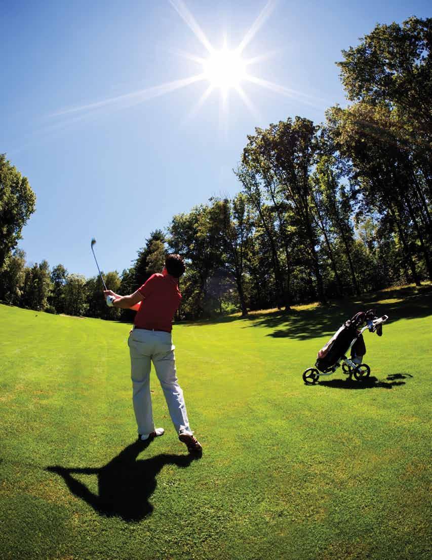 No Other Community in Naples offers its residents a golf experience like Treviso