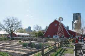 The Farm-in-the-Zoo is a working farm inside Lincoln