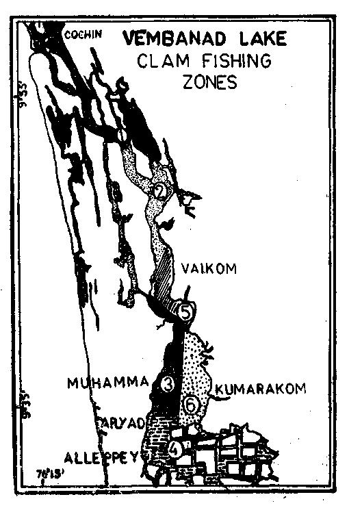investigation in 1979 on the exploitation of ram, Arobr, Aroblcutty, Vaduthaia, clam resources of Vembanad lake and its Mattathilbhagom, Kuthiathodu.