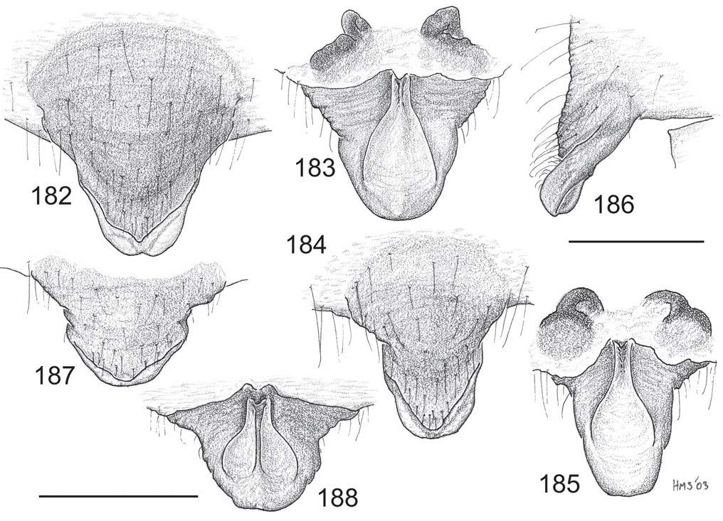 80 Records of the Australian Museum (2006) Vol. 58 Figs 182 188. Poltys laciniosus epigynes. 182 185, normal range of variation, anterior then posterior view. 186, lateral (182, 186, holotype).