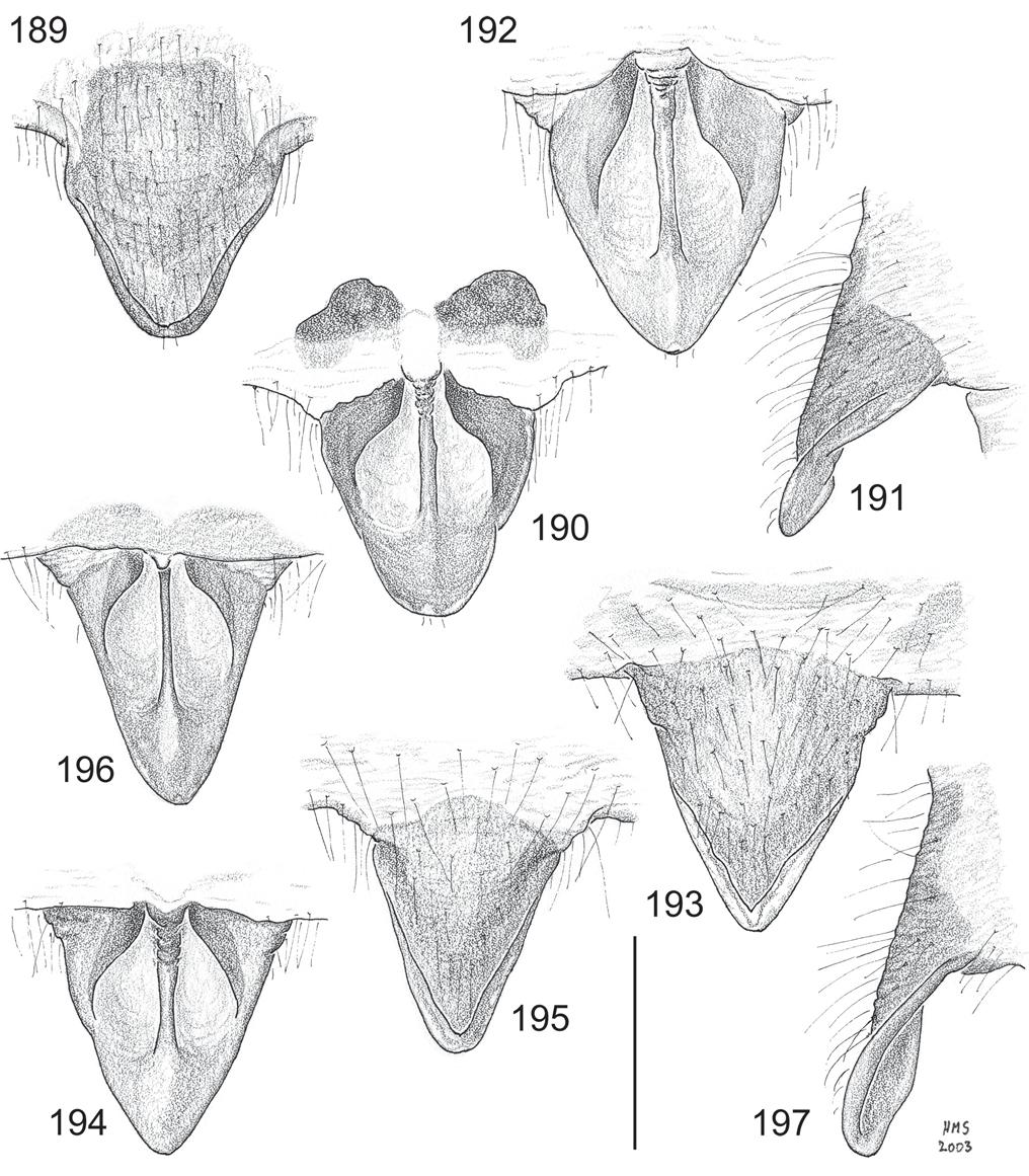 Smith: Revision of Australasian spider genus Poltys 81 Figs 189 197. Poltys laciniosus-group epigynes. 189 192, P. grayi: 189 191, holotype: anterior, posterior and lateral; 192, variant, posterior.
