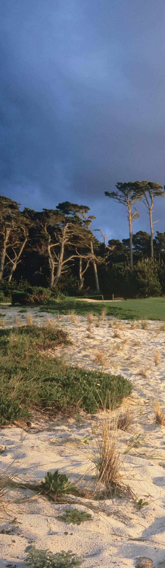 Packages include a three-night stay at The Lodge at Pebble Beach and all planned activities (see schedule).