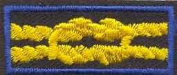 The Emergency Service Award shares the same rope colors and border as the Den Leader s Training Award and the Den Leader s Award.