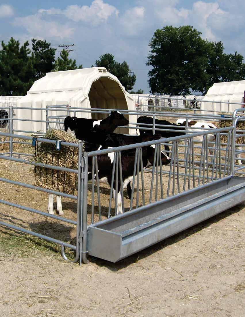 PROVEN PRODUCTS ADDING MULTIMAX HUTCHES TO OUR CALF RAISING PROGRAM ALLOWED US TO EASE THE TRANSITION FROM INDIVIDUAL TO GROUP HOUSING.