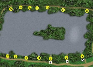 White Acres Pleasure Lakes Eery 14 Pegs, including 3 wheelchair friendly pegs, 0.8 Acres Eery is approximately one acre in size, 7 feet at its deepest and only 18 inches in the margin.