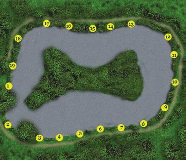 5 Acres Oval lake with one big island in the middle. Depths range from 6 feet in the middle, sloping at 45 degrees 9 8 Pellets, paste, corn and meat. Carp, Skimmer Bream, Tench, Roach and F1 Carp.