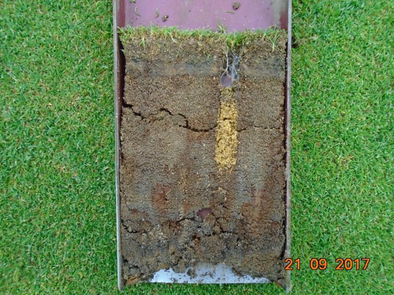 0 GREENS ASSESSMENT Photo 2: Hollow tining with the Procore puts added sand into the rootzone, rather than into the thatch proper 6.