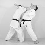 I hope you see how the whole element is connected to Naihanchi. Actually, you should see how all three basic elements are connected to this kata! 3.