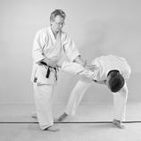 too - maintain the relaxation during the whole kata - move from relaxation to tension and from tension to relaxation fast and sharply - take power from weight