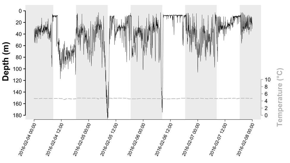 179 FIG. 9.2.4.4 Depth and temperature data for one week in February 216 for a Chinook salmon in Lake Ontario.