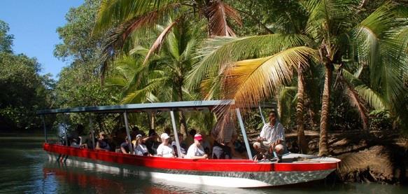 00 US per person The tour begins at the headquarter of the monkey mangrove tour, where two small rivers of fresh water are joined by a channel