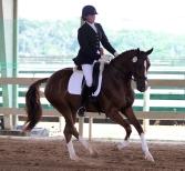 2010 TOP FIVES AND PREDICATES Young Horse Performance DG Bar Cup For 3-Year Old Dressage Horses North American Champion (tie) No.