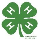HORSEINATION 4-H CLUB - Kids will learn leadership and confidence through Natural Horsemanship.