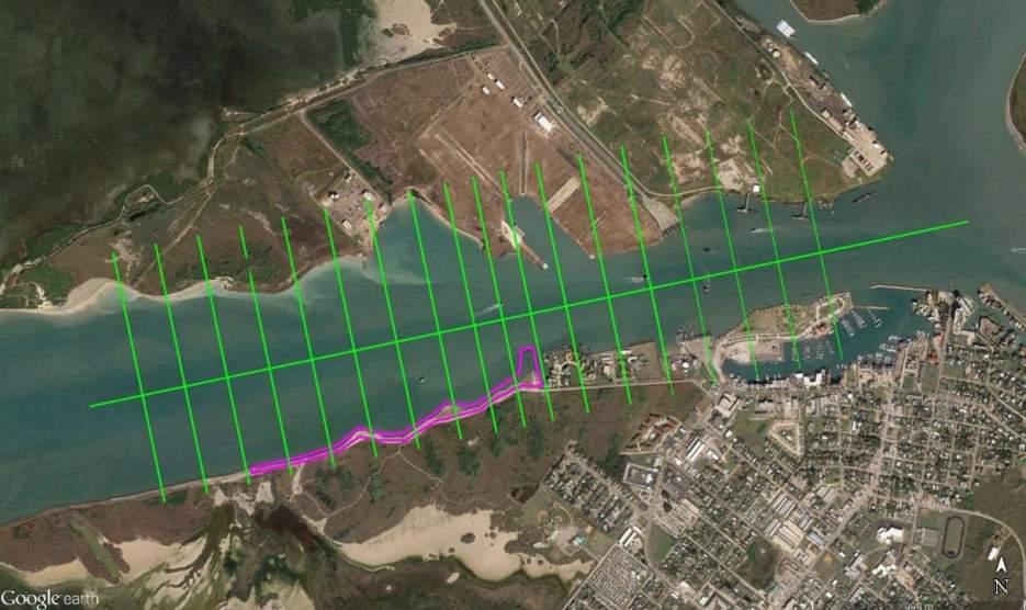 Figure 4. NMS hydrographic survey transects (green) and area of additional NMS topographic survey (purple).