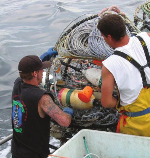 FISHERMEN RECOVER LOST CRABBING GEAR Dungeness crab is one of the most successful fisheries in California, valued at more than $30 million per year.