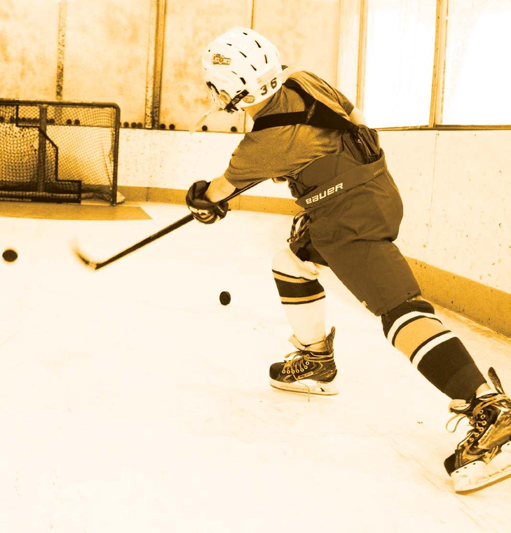 THE BEST HOCKEY TRAINING FACILITY MILL ZONE Learn proper stride mechanics at high speeds and self-correction in three ways.