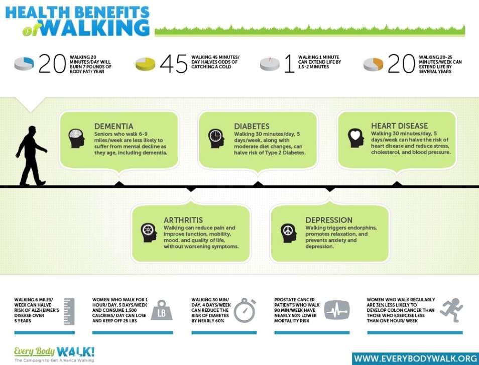 Exhibit 8-2: The Health Benefits of Walking (Source: