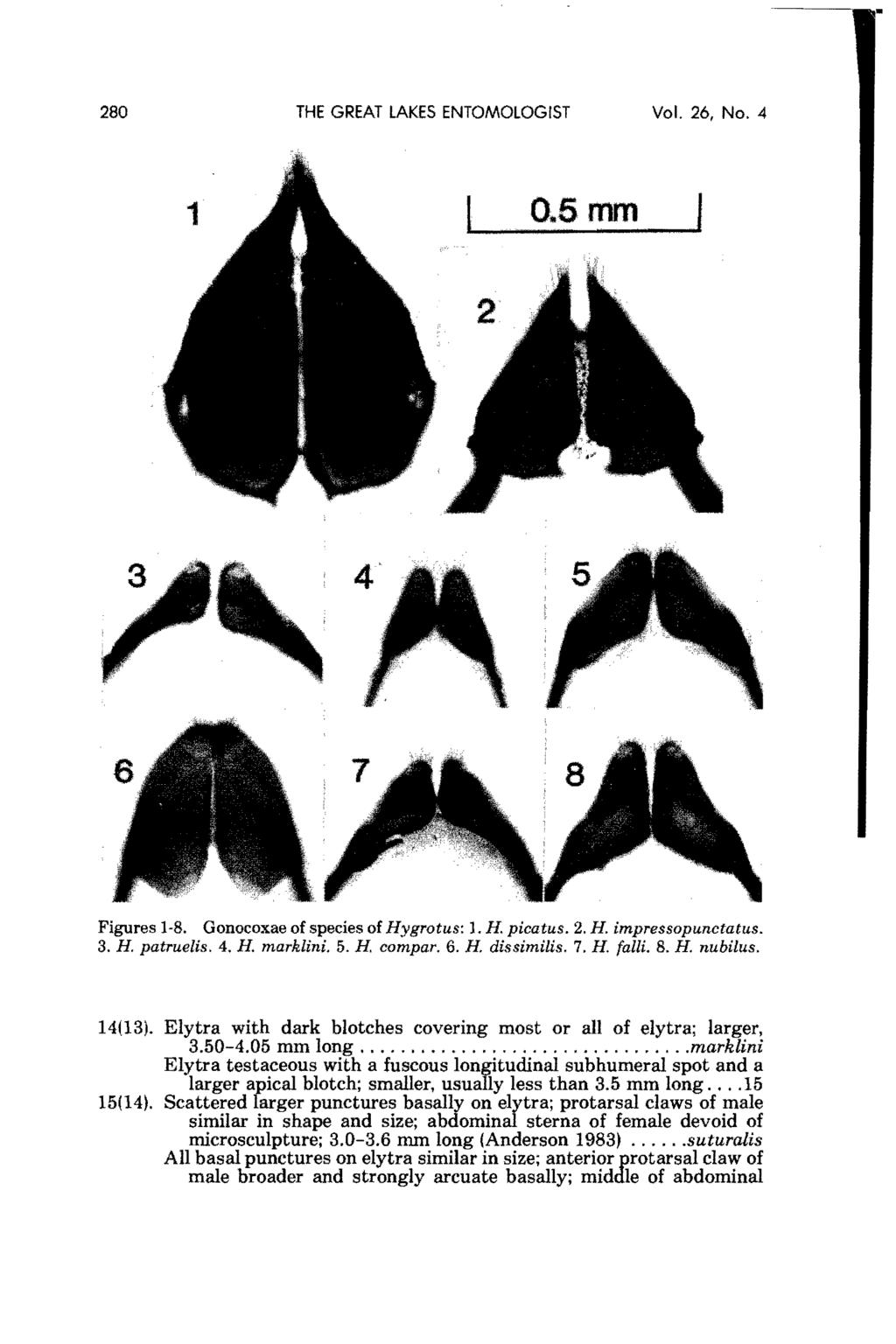 The Great Lakes Entomologist, Vol. 26, No. 4 [1994], Art. 3 280 THE GREAT LAKES ENTOMOLOGIST Vol. 26, No.4 1 O..5mm Figures 1-8. Gonocoxae of species of Hygrotus: 1. H. picatus. 2. H. impressopunctatu5.