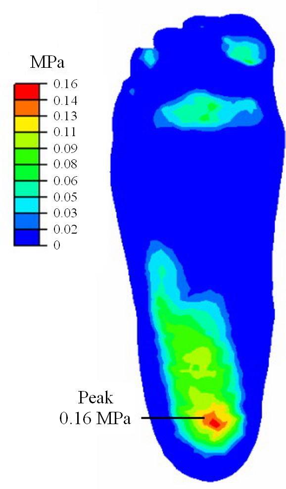 The predicted COPs for H1, H2 and H3 moved forword along heel to toe direction and matched experimental results within 3 mm deviation.