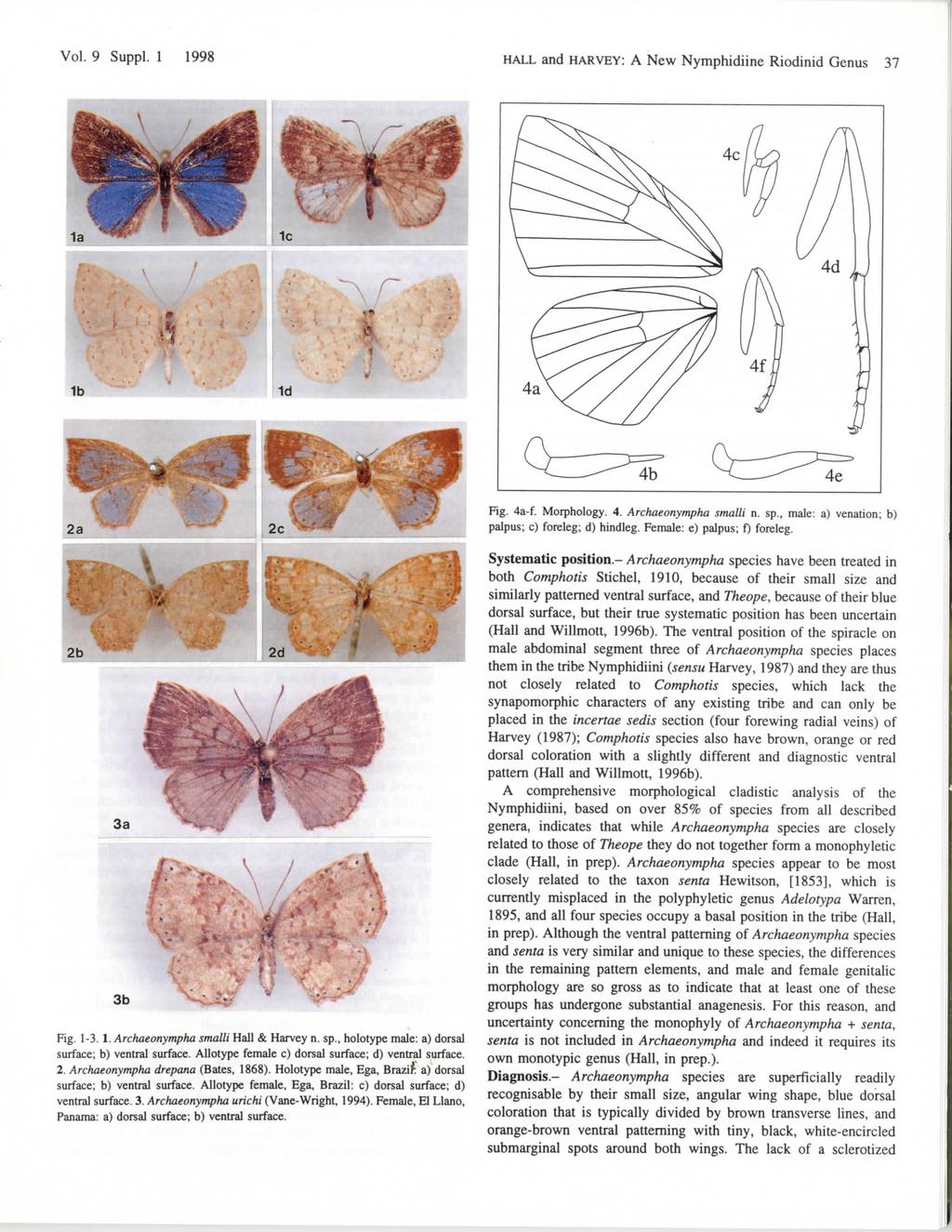 Vol. 9 Suppl. 1 1998 HALL and HARVEY: A New Nymphidiine Riodinid Genus 37 Fig. 4a-f. Morphology. 4. Archaeonympha smalli n. sp., male: a) venation; b) palpus; c) foreleg; d) hindleg.