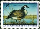 Duck stamp revenue also goes to The Small Wetlands Program, which reaches a 50-year milestone this year.