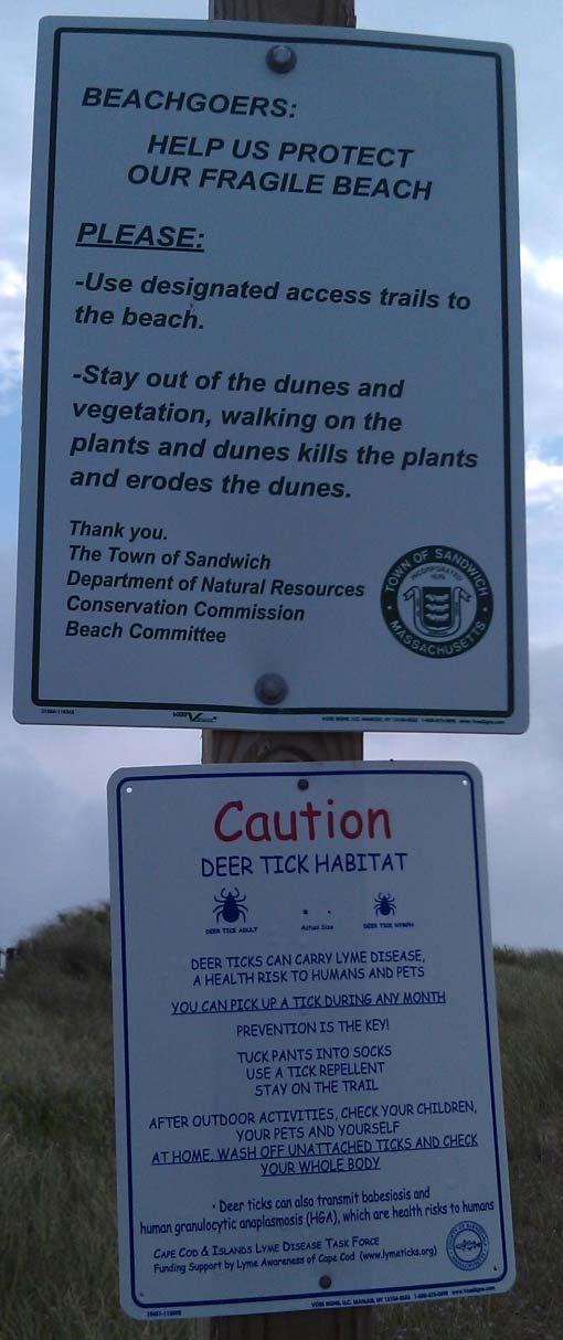 The beach is accessed via a public easement located at the western end of Salt Marsh Road.