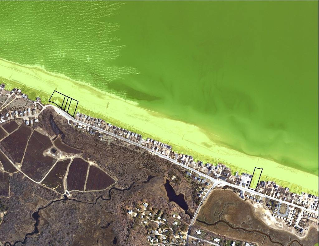 Figure 14. Natural Heritage and Endangered Species Program Priority Habitat areas for East Sandwich Beach. Priority Habitat areas are overlaid on the map in green.