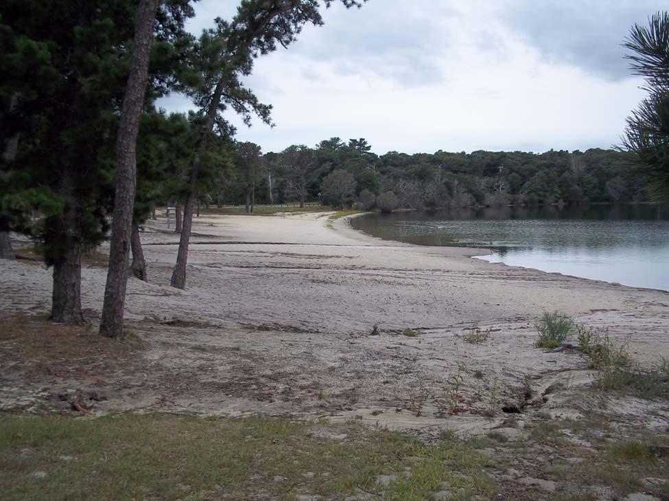 Figure 23. View of Snake Pond beach. Snake Pond is an 83 acre natural kettle hole pond with an average depth of 18 ft and a maximum depth of 33 ft.