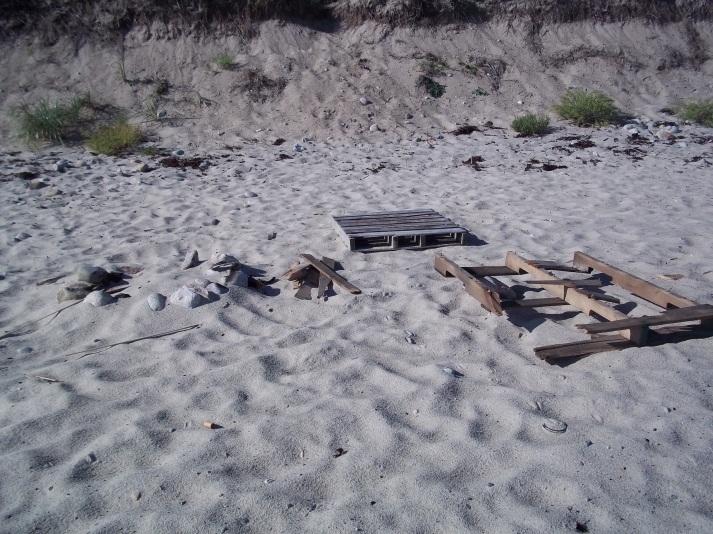 Activity 4.6.6 Increase Activities Associated with Fire Permit Enforcement on All Public Beaches Purpose: To help eliminate large bonfires and fire debris (Figure 43) on the public beaches.