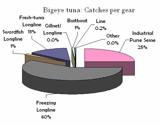 Yellowfin tuna (YFT) Bigeye tuna (BET)