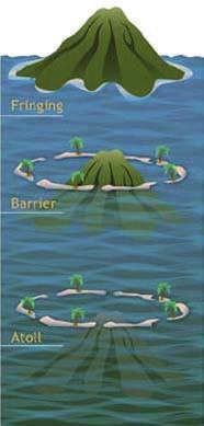 A barrier reef is a fringing reef that has been separated from land due to island subsidence, or sinking into the sea, and encloses a lagoon between the reef and the subsiding island.