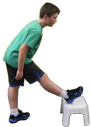 repeat HAMSTRINGS Stand about a foot behind a low object Place right heel on the