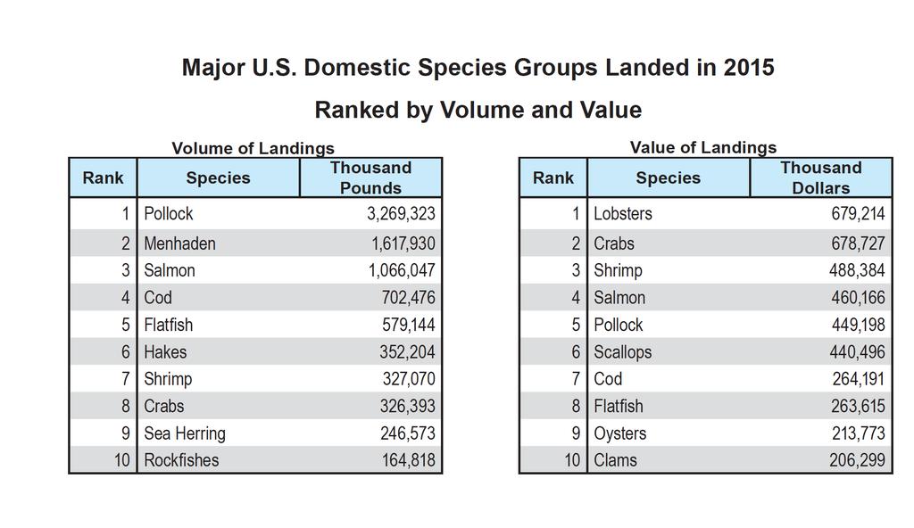 valuable ($/lb landed) fishery in the US and ranked seventh in terms of overall pounds landed (NMFS 2016) (Table 1).