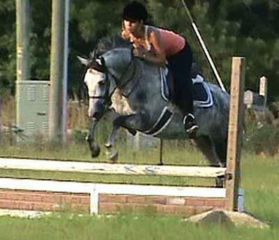 He is very brave and willing to the jumps and will be easy to finish. Berkley is quiet, athletic, personable gelding with a great disposition to make into a real star. Recorded with USEF #5200483.