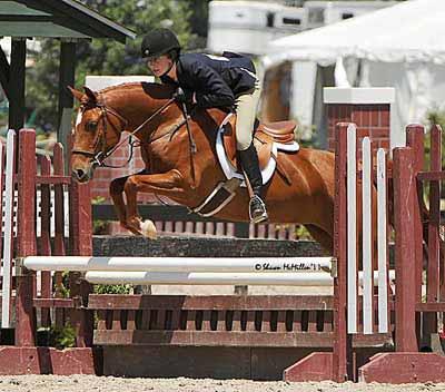 53 Eligible Green 2006 Chestnut Mare 13:1-1/2 HH Half Welsh WITH PAPERS WPCSA #H7573 Consigned by: Laurie Ann Occhipinti, Agent Taylor Creagh Grand View Starlette is a beautiful 5 year old Half Welsh