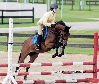 She has amazing warmblood-type movement, a huge ground covering stride, is lovely over fences, has automatic lead changes, a wonderful temperament, and gorgeous, flawless conformation.