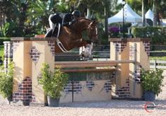 Every Sunday throughout the Winter Equestrian Festival show jumpers have the chance to compete in the Suncast 1.50m Championship Series.