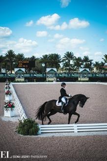 Included are four FEI World Cup qualifiers, one 4* and one 5*, the only non-championship CDIO Nations Cup in the Western Hemisphere, as well as weekly U.S. National events.