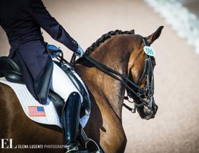 ADEQUAN GLOBAL DRESSAGE FESTIVAL AGDF Facts At this year s Adequan Global Dressage Festival, riders from many countries such as Australia, Canada, Colombia, Denmark, Dominican Republic, the United