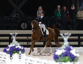 Dressage is a sport that is beneficial for all equestrian activities as it is the ultimate in training.