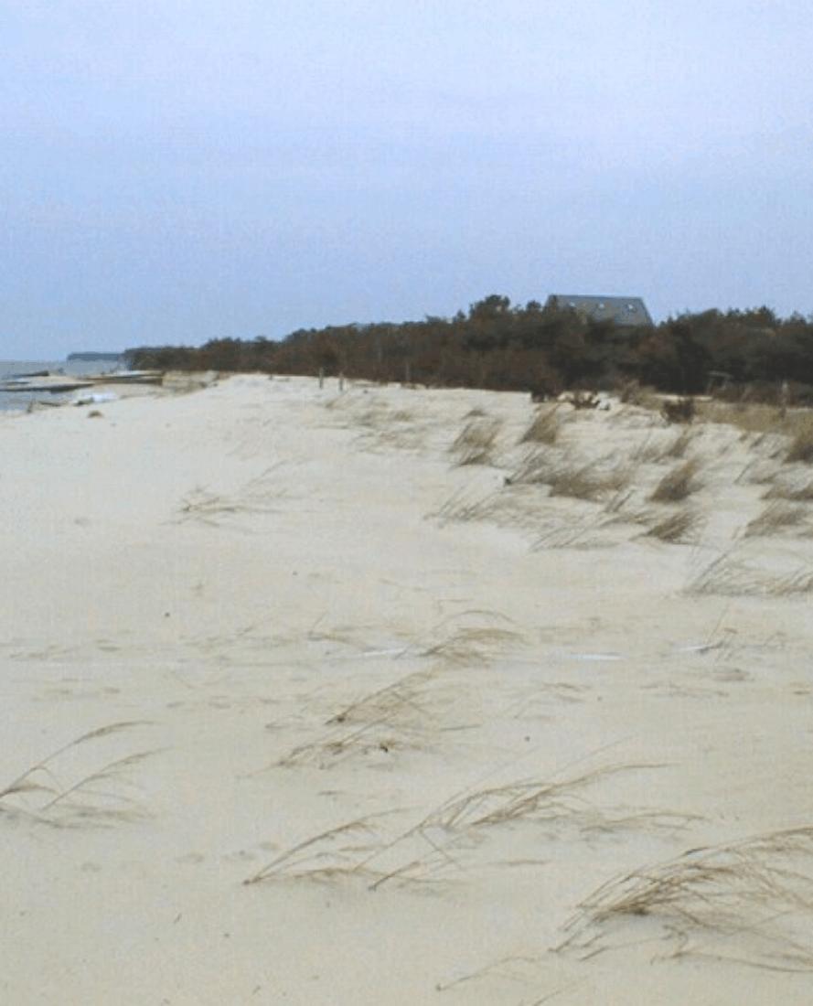 The Value of Created Dunes to address Coastal Hazards in