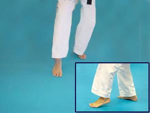 knee Straight, Lean onto front leg Stance 5 Nekoashi-dachi
