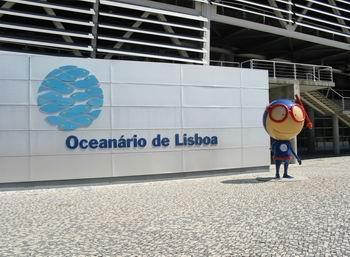 The tourist act was extended with a visit to Oceárnio, a well oversized aquarium were you easily spend many
