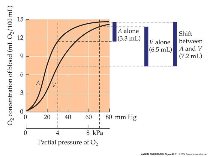 Bohr Effect Hill et al., 004, Fig.